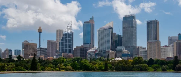 Sydney city skyline från botaniska trädgård — Stockfoto