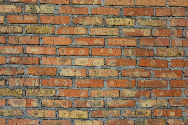 stock image Red brick wall