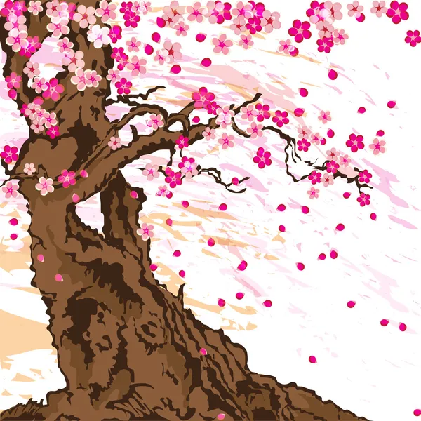 Albero di Sakura — Vettoriale Stock