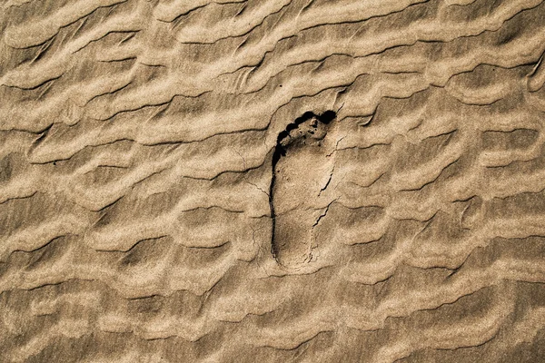 stock image Footprints in the sand