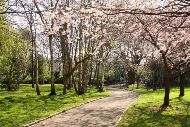 Merrion Square park, Dublin clipart