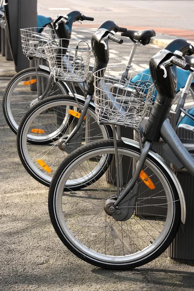 Велосипеды в аренду — стоковое фото