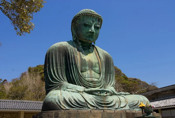 Grote Boeddha standbeeld van de stad kamakura, japan — Stockfoto