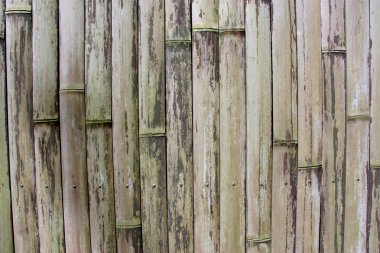 arka plan - eski bambu panel