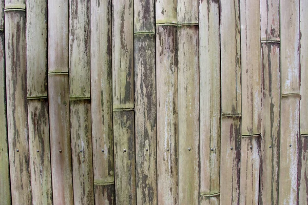 Fondo - panel de bambú viejo —  Fotos de Stock