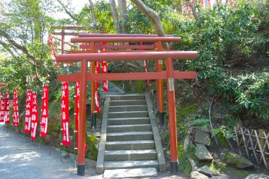 torii Gates koridor