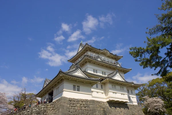Одавара замок, Японія. Національний історичний сайт — стокове фото