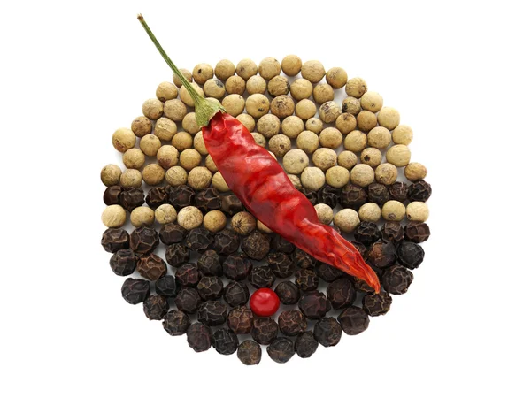stock image Dry pepper sign