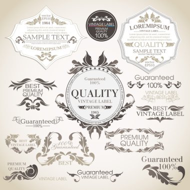 Vector set: calligraphic design elements and page decoration, Pr clipart