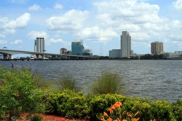 Skyline van Jacksonville, Florida — Stockfoto