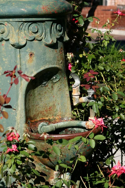 Fontana di potabile coperta di piante e fiori — Foto Stock