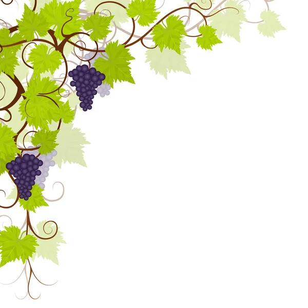 Vines Stock Vectors, Royalty Free Vines Illustrations | Depositphotos®