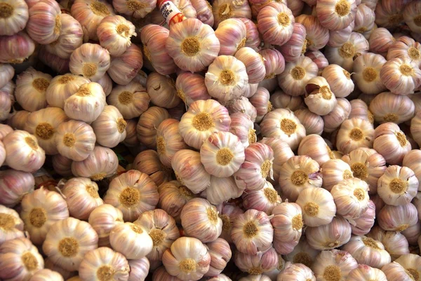 stock image Of the garlic in bouquet