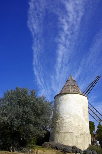 stock image Un moulin et un olivier