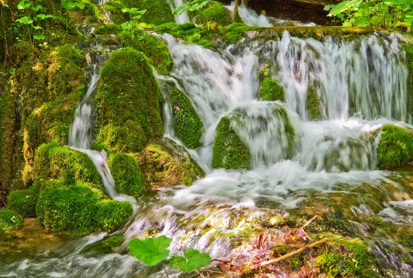 stock image Waterfall and moss.