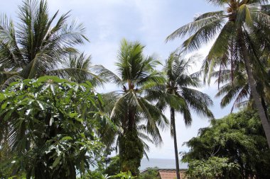 Tayland, karon beach, phuket