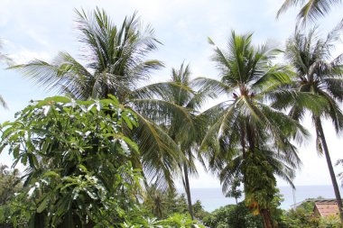 Tayland, karon beach, phuket