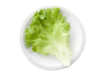 Green lettuce salad 2 clipart