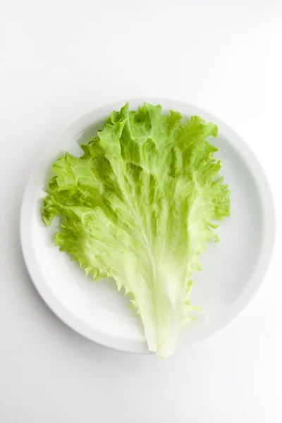 Salada de alface verde 4 — Fotografia de Stock