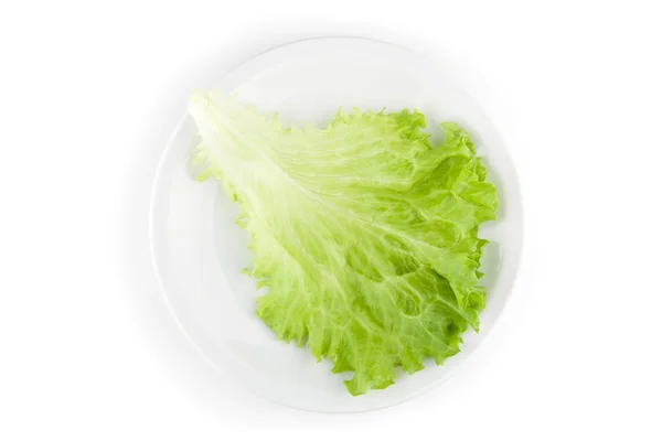 Yeşil marul salatası 5 — Stok fotoğraf