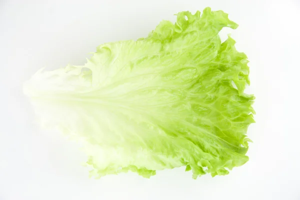 Salada de alface verde 6 — Fotografia de Stock