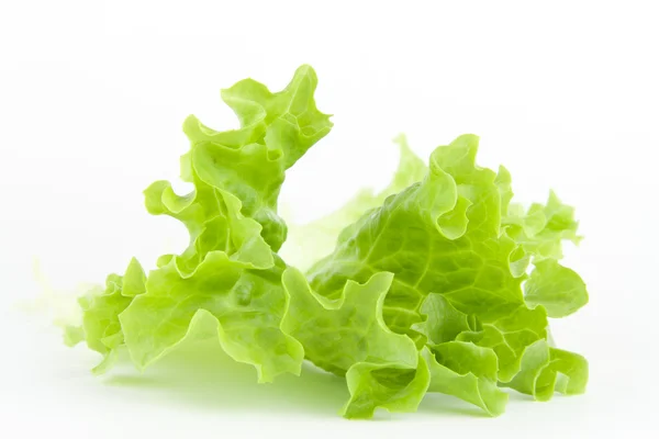 Yeşil marul salatası 14 — Stok fotoğraf