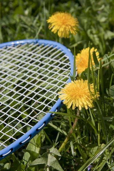 stock image Blue racket