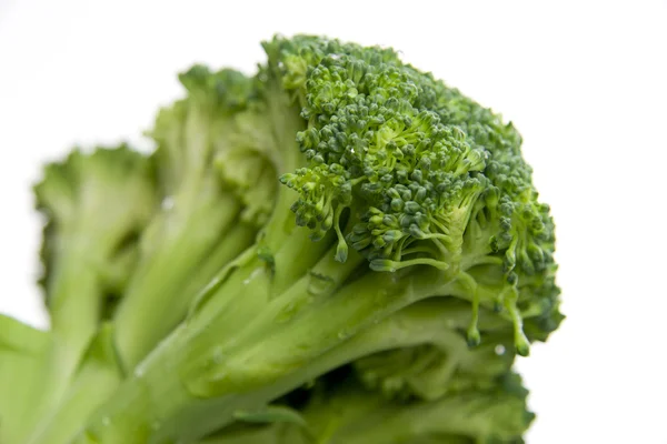 Broccoli closeup — Stock Photo, Image