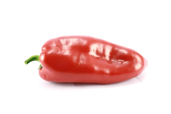 stock image Red hot pepper on white