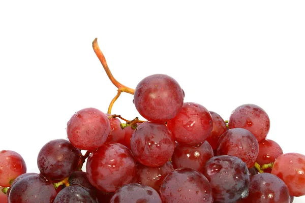 Winogron — Zdjęcie stockowe