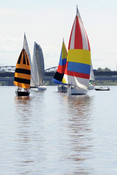 stock image Sailing Yachts