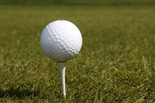 Pelota de golf — Foto de Stock