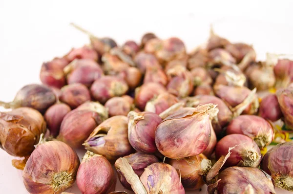 stock image Pile of shallots isolated on white background