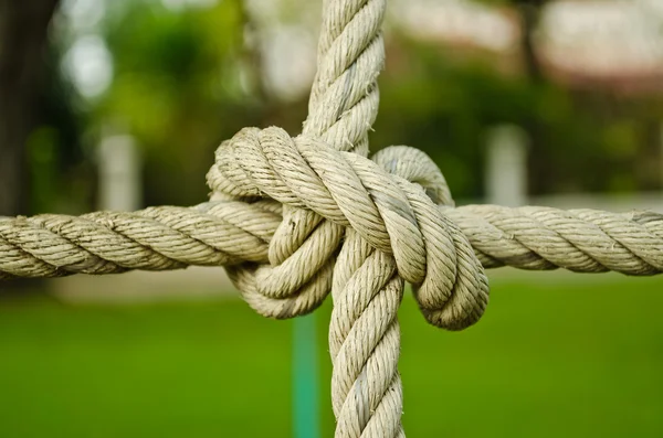 stock image The rope knot