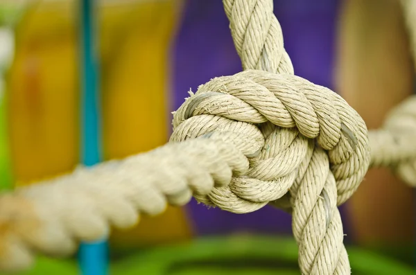 stock image The rope knot