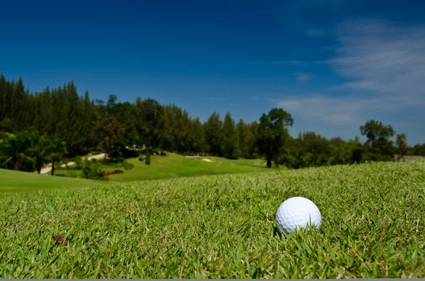 A golf ball — Stock Photo, Image