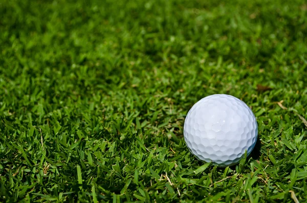 En glof boll på gröna fält — Stockfoto