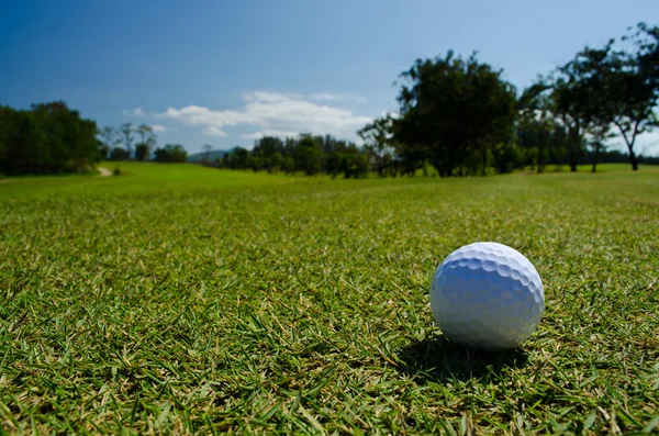 Una pelota de golf —  Fotos de Stock