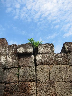 Angkor wat duvar