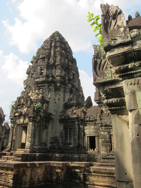 Tempel in angkor wat — Stockfoto