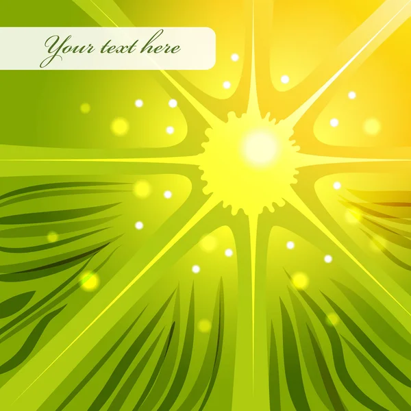 Le soleil abstrait et l'herbe — Image vectorielle
