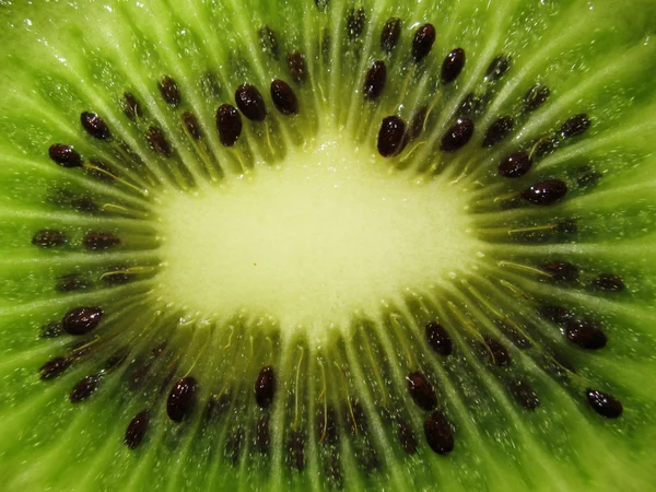 stock image Cut kiwi