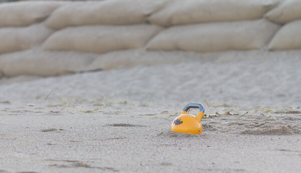 Proffessional Kettlebell