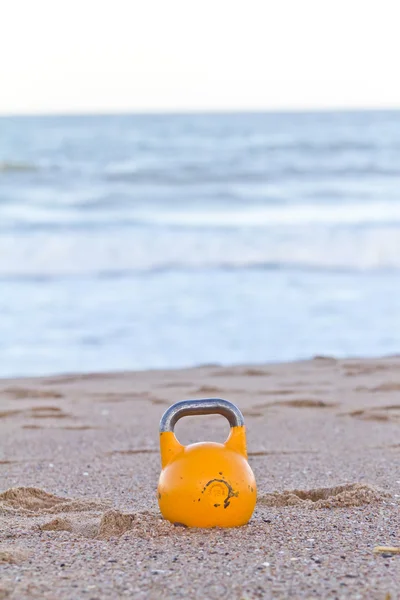 stock image Proffessional Kettlebell