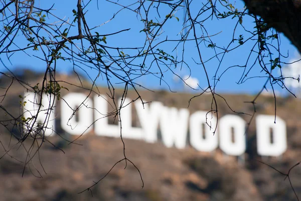 Hollywood-skylten Stockbild