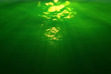 Underwater Green Haze clipart