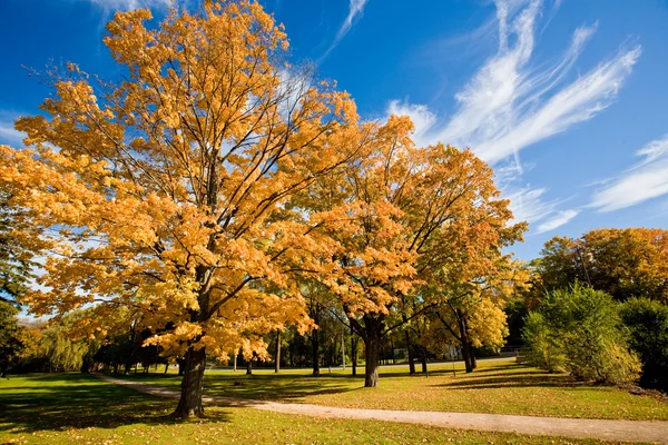 stock image Autumn Scenic