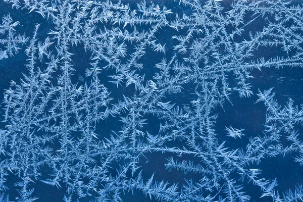 stock image Frosty Window