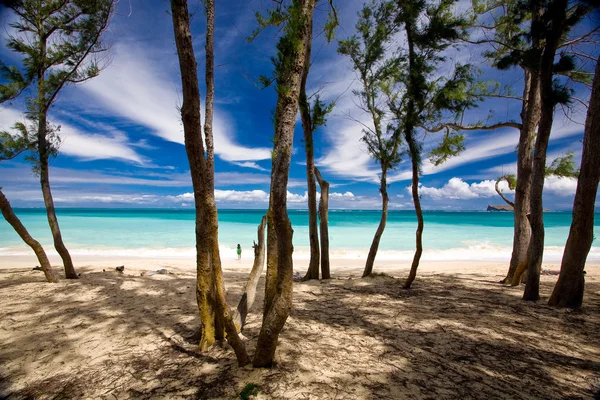 stock image Beach Scenic