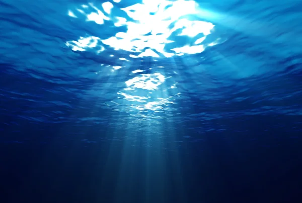 Подводные подносы — стоковое фото